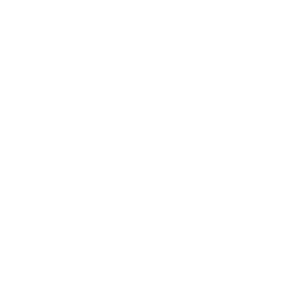 A|L Media logo